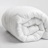 Edinburgh - All season Dekbed - Anti-Allergische 200x200