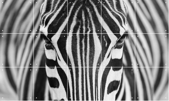 IXXI Zebra - Wanddecoratie - Abstract - 100 x 60 cm