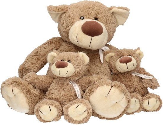 Harrycle Set Van 5 Stuks Knuffeldier: Schattige Pluche Mama Wasbeer Met 4 Baby's in de Buik - Knuffelige Zachte Knuffel Voor Jongens en Meisjes, Verjaardag, Bos, Feest, Afstudeercadeau