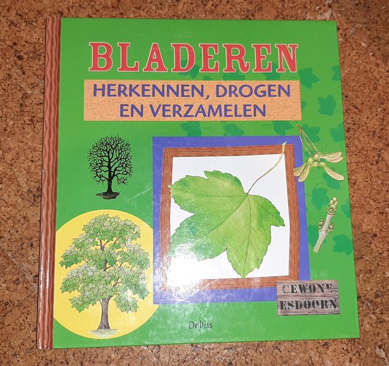 Bladeren Herkennen Drogen En Verzamelen