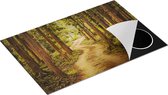 Chefcare Inductie Beschermer Pad in het Bos met Bomen - 81x52 cm - Afdekplaat Inductie - Kookplaat Beschermer - Inductie Mat
