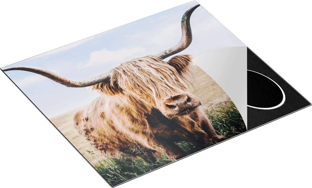 Chefcare Inductie Beschermer Schotse Hooglander Koe in de Wei - 60x55 cm - Afdekplaat Inductie - Kookplaat Beschermer - Inductie Mat