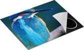 Chefcare Inductie Beschermer Blauwe IJsvogel op een Tak - 65x52 cm - Afdekplaat Inductie - Kookplaat Beschermer - Inductie Mat