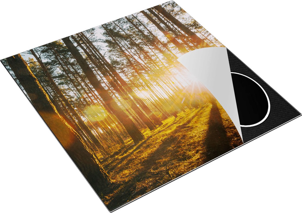 Chefcare Inductie Beschermer Zonsopkomst in het Bos tussen de Bomen - 78x78 cm - Afdekplaat Inductie - Kookplaat Beschermer - Inductie Mat