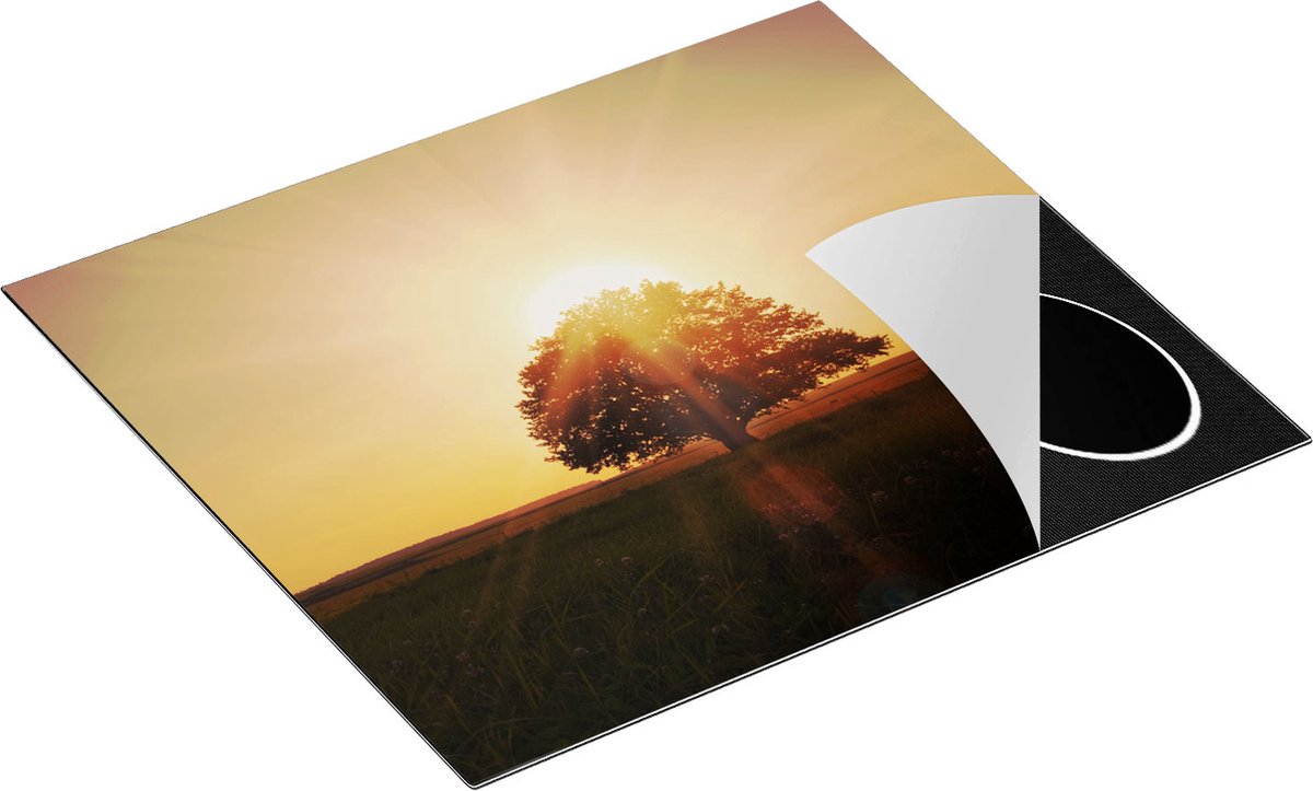 Chefcare Inductie Beschermer Zonsondergang Achter een Grote Boom - 57,6x51,6 cm - Afdekplaat Inductie - Kookplaat Beschermer - Inductie Mat