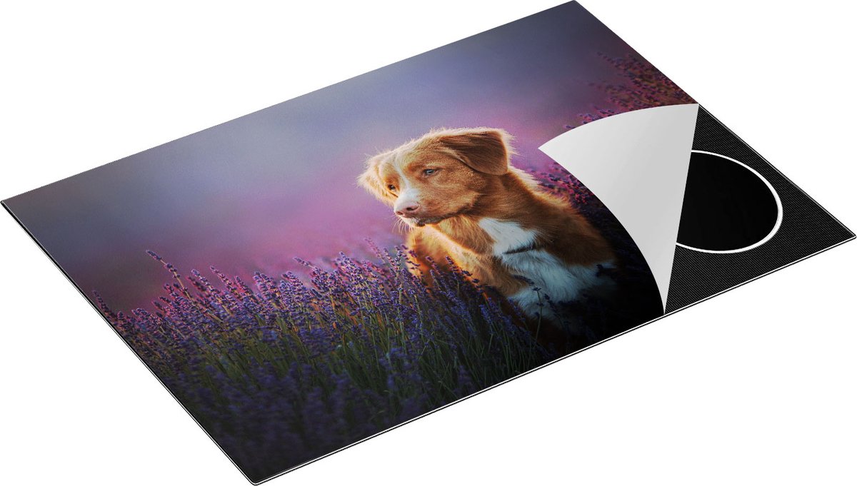 Chefcare Inductie Beschermer Retriever Hond tussen de Lavendel Bloemen - 76x51,5 cm - Afdekplaat Inductie - Kookplaat Beschermer - Inductie Mat