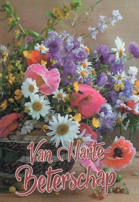 Van harte beterschap! Een kleurrijke kaart met een mand vol bloemen in  diverse... | bol.com