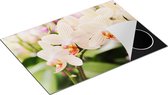 Chefcare Inductie Beschermer Gestreepte Witte Orchidee Bloemen - 76x51,5 cm - Afdekplaat Inductie - Kookplaat Beschermer - Inductie Mat
