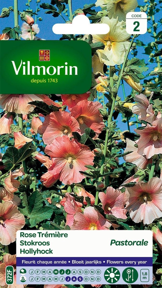 Vilmorin - Stokroos - Pastorale - V372