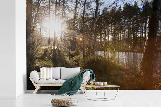 Papier peint photo vinyle - Les rayons du soleil brillent entre les arbres du parc national de Nuuksio en Finlande largeur 360 cm x hauteur 240 cm - Tirage photo sur papier peint (disponible en 7 tailles)