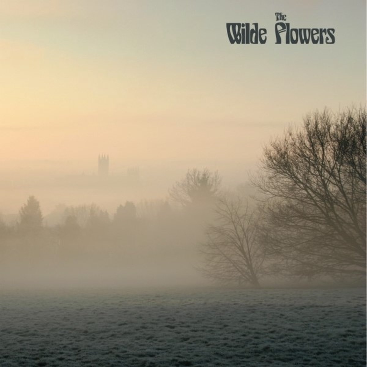 Wilde Flowers - The Wilde Flowers (LP) (Remastered)