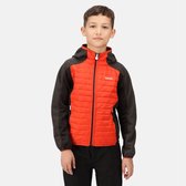 De Regatta Kielder Hybrid baffle jas - outdoorjas - kinderen - geÃ¯soleerd - waterafstotend - Oranje