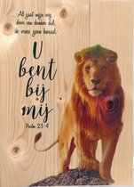 Wandbord - 27,8 x 40 cm  - Leeuw U bent bij mij Psalm 23 - Christelijk, Bijbel