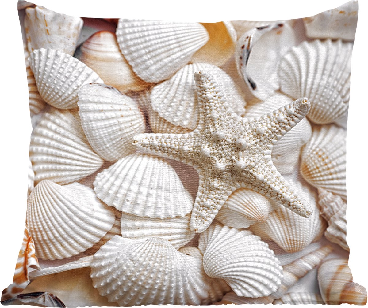 Tableau déco Étoile de Mer et Coquillages - 25x20 cm | Leroy Merlin Tableau déco Étoile de Mer et Coquillages - 25x20 cm | Leroy Merlin