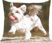 Sierkussen - Een Maltezer Hond Met Een Rode Bal - Multicolor - 40 Cm X 40 Cm