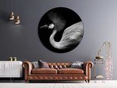 Textirieur Muurcirkel Flamingo Black 80CM