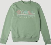O'Neill Trui All Year Crew Sweatshirt - Blauwgroen - 140