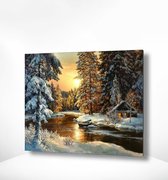 Painting Expert® Schilderen op nummer Volwassenen - Schilderen op nummer Kinderen - Zonsondergang Bos - 40x50cm - Exclusief Lijst (24 kleurtjes)