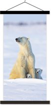 Porte-affiche avec affiche - Affiche scolaire - Ours polaire - Neige - Oursons - 90x180 cm - Lattes noires
