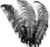 Struisvogelveer 70-80 cm zwart (4+1 GRATIS)