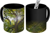 Magische Mok - Foto op Warmte Mok - Een kastanjeboom tijdens de herfst in Italië - 350 ML