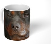 Mok - Koffiemok - Portret van Rottweiler hond in de studio - Mokken - 350 ML - Beker - Koffiemokken - Theemok