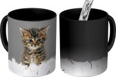 Magische Mok - Foto op Warmte Mokken - Koffiemok - Kitten - Veren - Grijs - Magic Mok - Beker - 350 ML - Theemok