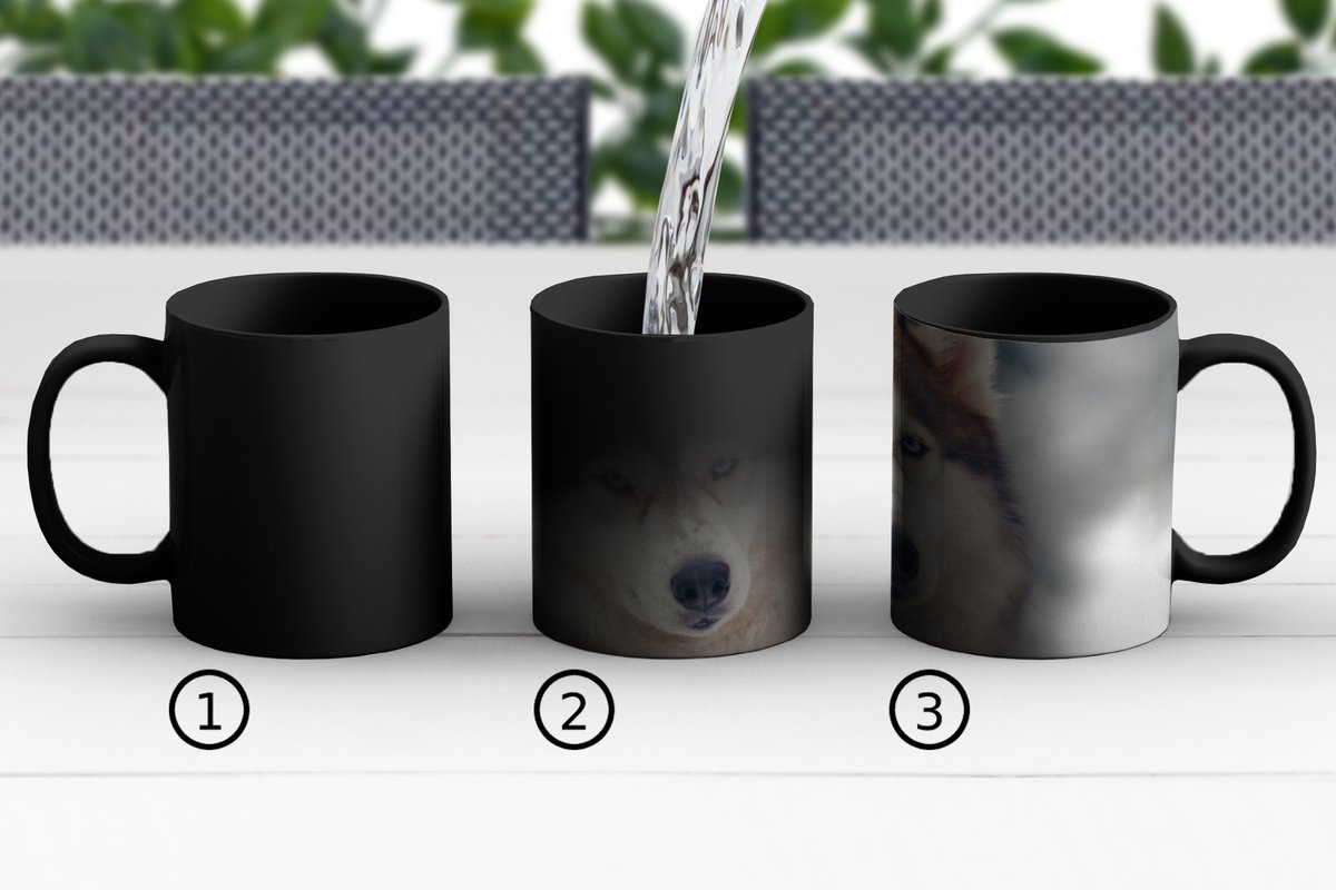 Magische Mok - Foto op Warmte Mokken - Koffiemok - Portret van een Husky - Magic Mok - Beker - 350 ML - Theemok