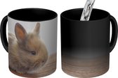 Magische Mok - Foto op Warmte Mok - Baby - Konijn - Hout - 350 ML