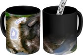 Magische Mok - Foto op Warmte Mokken - Koffiemok - Cavia's in de tuin - Magic Mok - Beker - 350 ML - Theemok