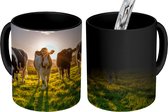 Magische Mok - Foto op Warmte Mokken - Koffiemok - Koeien - Zon - Gras - Dieren - Boerderij - Magic Mok - Beker - 350 ML - Theemok