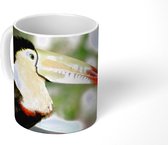 Mok - Een kleurrijke Zwavelborsttoekan vogel - 350 ML - Beker