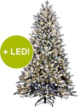 Royal Christmas Canberra Flock kunstkerstboom 180 cm met LED smartadapter