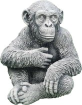 Tuinbeeld aap chimpansee (Grijs/gepattineerd) -  Decoratie voor binnen/buiten - Beton