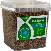 BSF Buddies 400 gram
