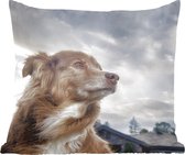 Sierkussens - Kussentjes Woonkamer - 45x45 cm - Starende hond