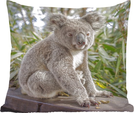 Springkussen Koala Sierkussen - Koala Plank Planten - Bruin - 45 Cm X 45 Cm | bol