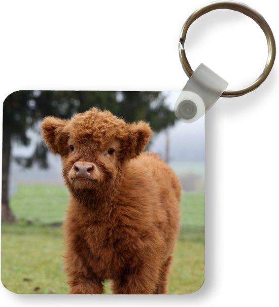 Porte-clés - Highlander écossais - Herbe - Nature - Plastique - Rond - Cadeaux à distribuer