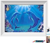 Artstudioclub®  Diamond painting volwassenen 30*25cm  dolfijn