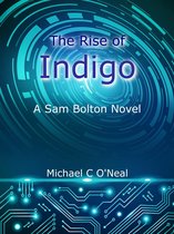 The Rise of Indigo