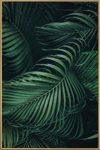 JUNIQE - Poster met kunststof lijst Feathered Palm -40x60 /Groen