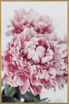 JUNIQE - Poster met kunststof lijst Peony in Focus -40x60 /Grijs &