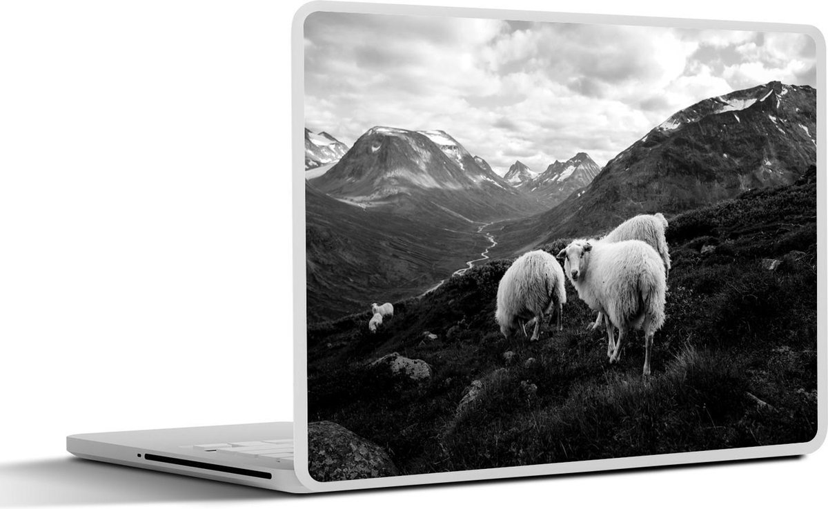 Afbeelding van product SleevesAndCases  Laptop sticker - 15.6 inch - Familie portret schapen in de bergen - zwart wit