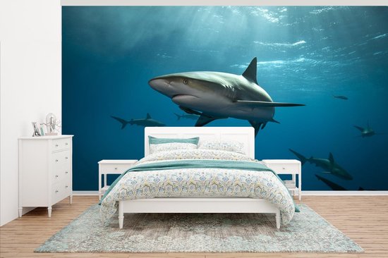 Papier peint - Papier peint Papier peint photo Groupe de requins - Largeur 395 cm x hauteur 220 cm
