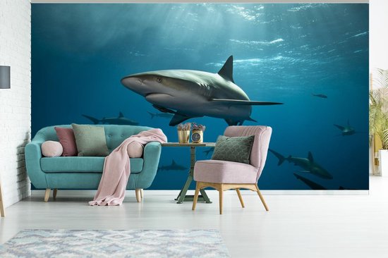 Papier peint - Papier peint Papier peint photo Groupe de requins - Largeur 395 cm x hauteur 220 cm