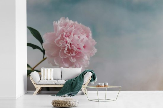 Papier peint photo vinyle - Une fleur rose et botanique avec un ciel coloré largeur 330 cm x hauteur 220 cm - Tirage photo sur papier peint (disponible en 7 tailles)