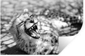 Muurstickers - Sticker Folie - Baby cheetah in de Savanne - zwart wit - 30x20 cm - Plakfolie - Muurstickers Kinderkamer - Zelfklevend Behang - Zelfklevend behangpapier - Stickerfolie