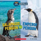 Hot and Cold Animals - Galapagos Penguin or Emperor Penguin (Wild World: Hot and Cold Animals)
