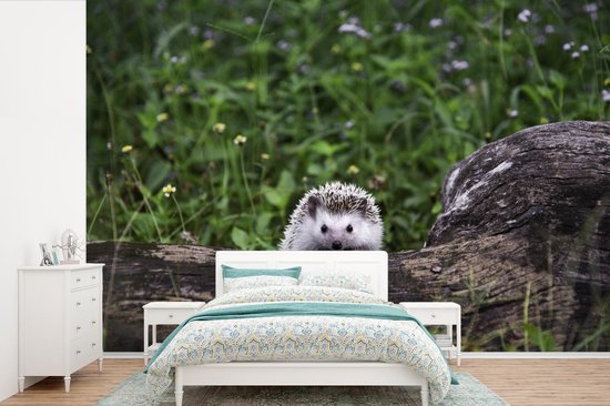 Papier peint photo peint photo vinyle - Petit hérisson sur un tronc d'arbre largeur 330 cm x hauteur 220 cm - Tirage photo sur papier peint (disponible en 7 tailles)