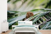 Papier peint - Papier peint Papier peint photo Tarsier des Philippines parmi les feuilles - Largeur 330 cm x hauteur 220 cm